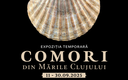 Comori din mările Clujului