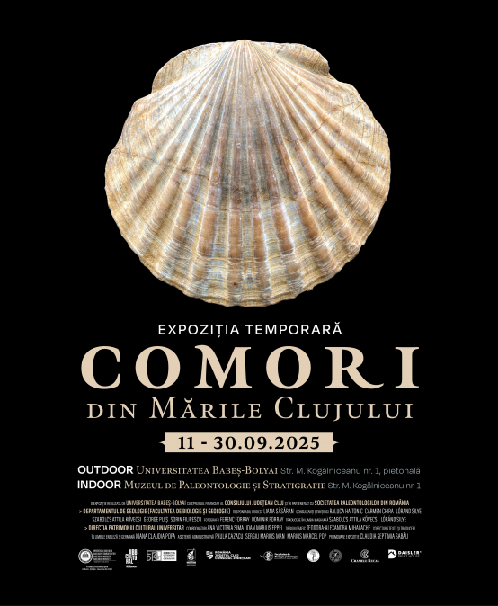 Comori din mările Clujului