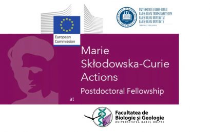 Marie Curie Fellowship