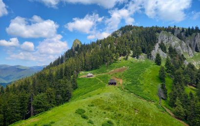 The Diurnal Lepidoptera Fauna in Buila-Vânturarița National Park: One-Season Survey