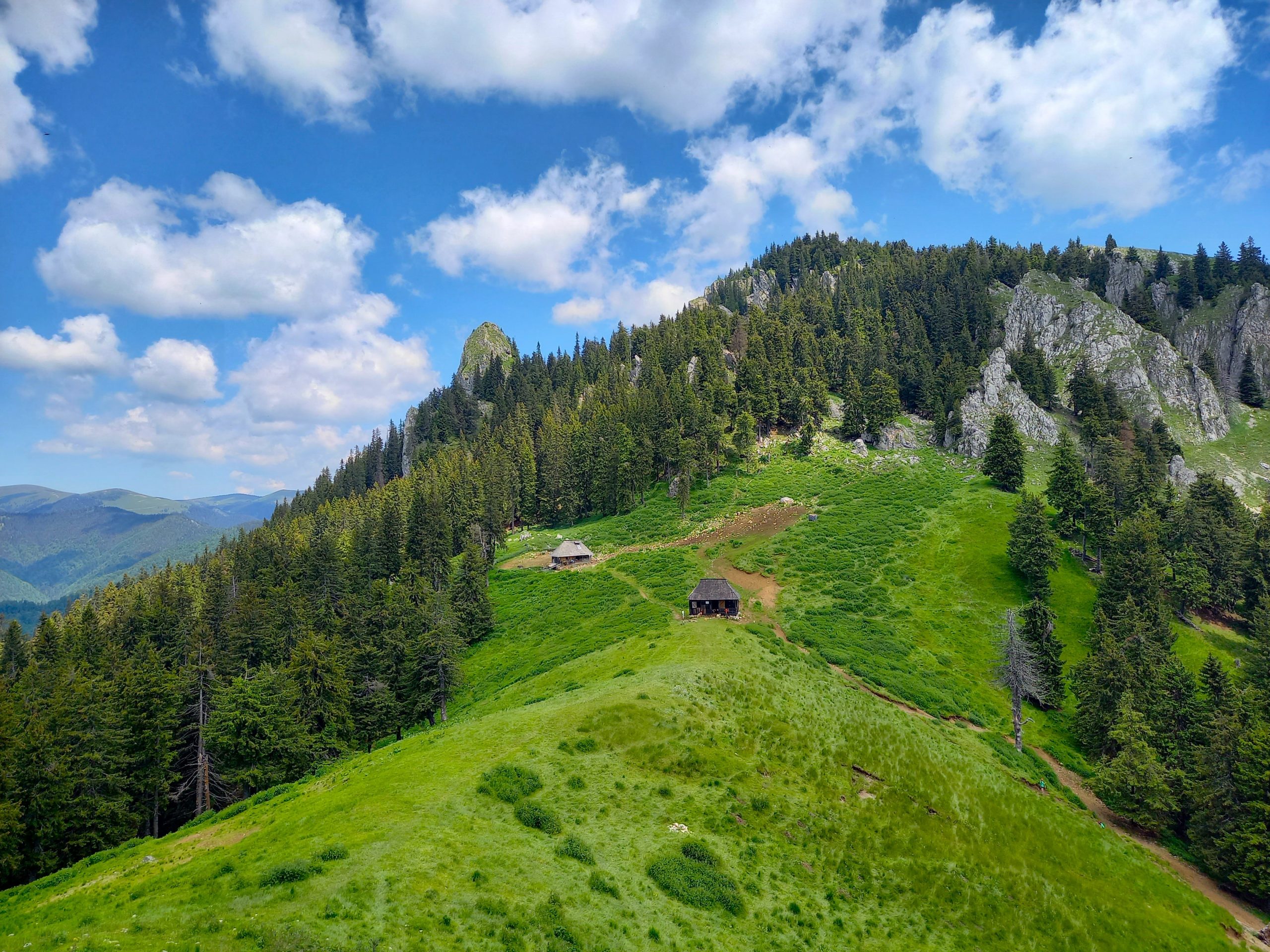 The Diurnal Lepidoptera Fauna in Buila-Vânturarița National Park: One-Season Survey